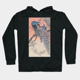 Peafowl by Ohara Koson Hoodie